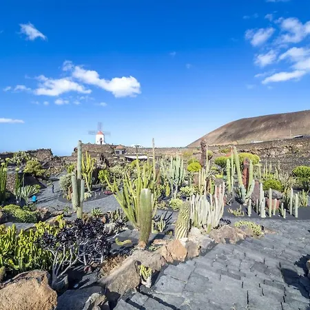 Casa Tortuga Dom wakacyjny *