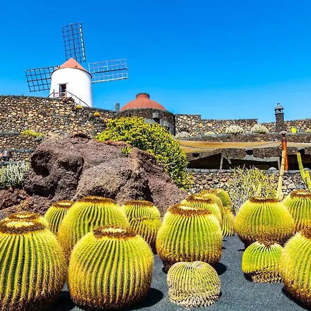 Сasa de vacaciones Casa Tortuga