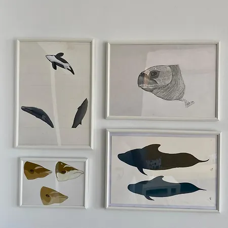 Dom wakacyjny Casa Tortuga Punta Mujeres