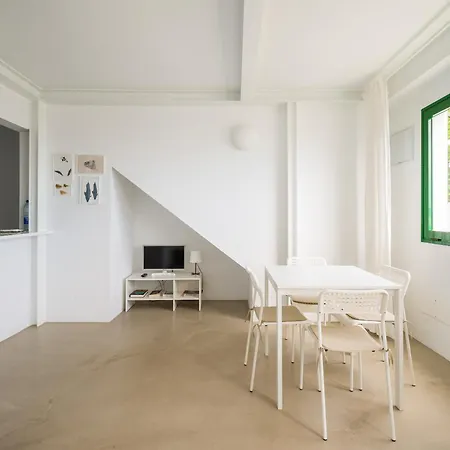Casa Tortuga