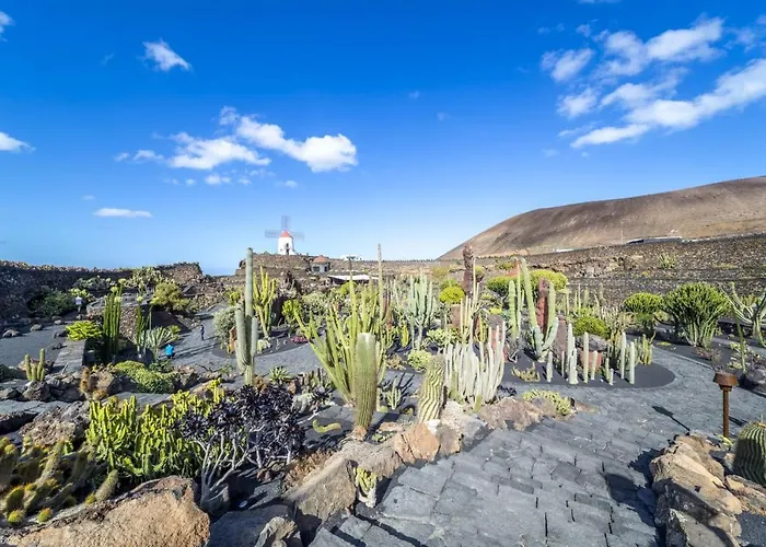 Casa Tortuga 別荘 *