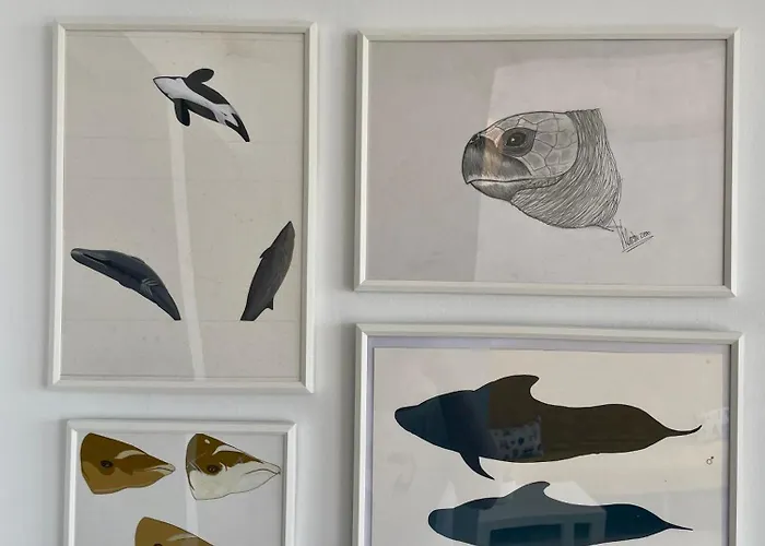 別荘 Casa Tortuga Punta Mujeres