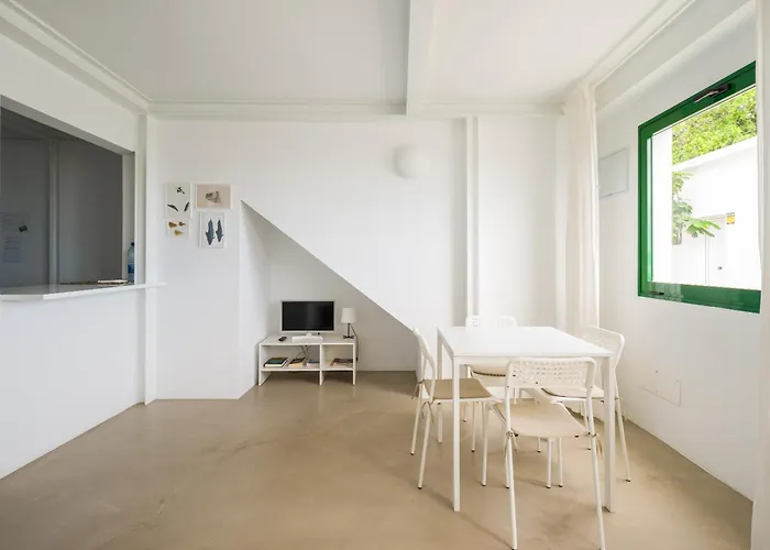 Casa Tortuga